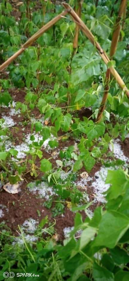 BURUNDI : La neige est tombée à MUTUMBA / KARUSI