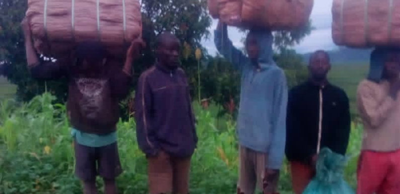 BURUNDI : Arrestation de 7 trafiquants organisant la fraude vers LE RWANDA / KIRUNDO