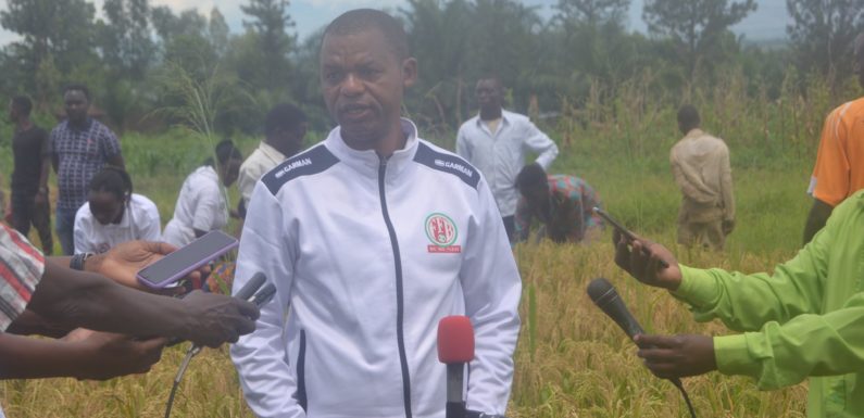BURUNDI : Le Président du SENAT demande de fixer le prix du riz non décortiqué au kilo / CIBITOKE