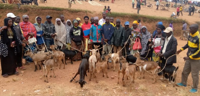 BURUNDI : La Coopérative EJOHEZA offre 18 chèvres à  MUSAVE / KAYANZA