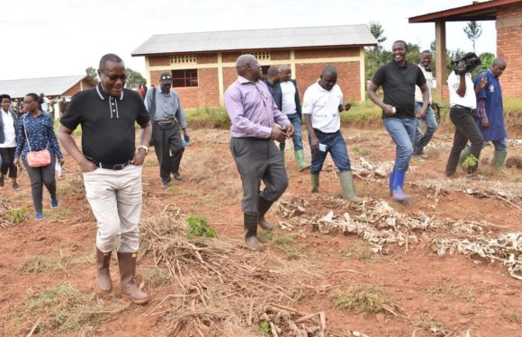 BURUNDI : Visite des caféiers de NYABIBUGA à NYABIHANGA / MWARO