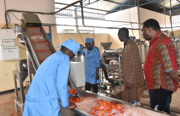 BURUNDI : Visite d’une coopérative de transformation de tomates à VYERWA / NGOZI