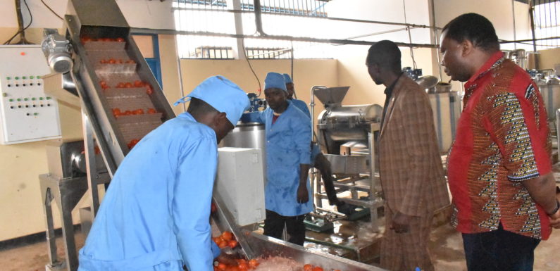 BURUNDI : Visite d’une coopérative de transformation de tomates à VYERWA / NGOZI