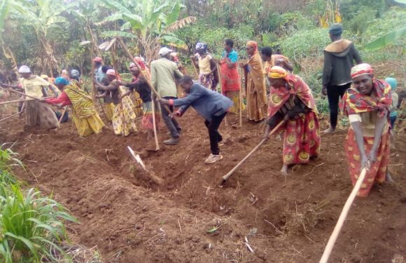 BURUNDI : TDC – Tracer une piste reliant les collines RUVUMU et KIGANDA / MURAMVYA