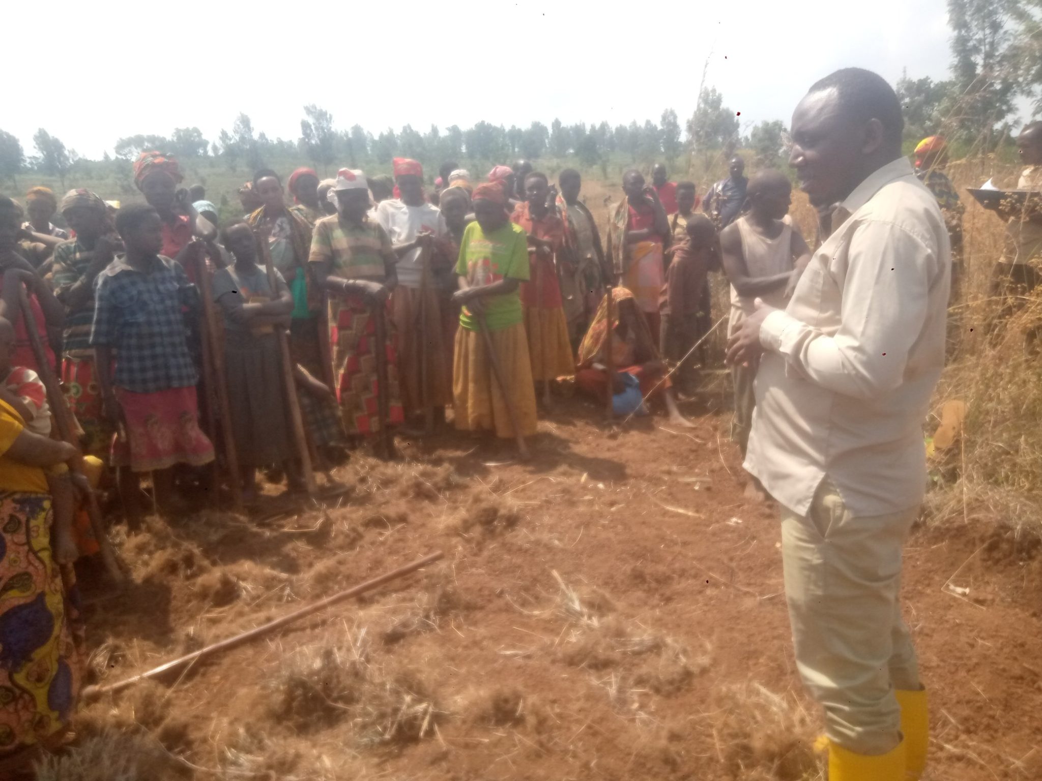 BURUNDI : Rencontre avec la coopérative SANGWE en colline GITANGA / NGOZI