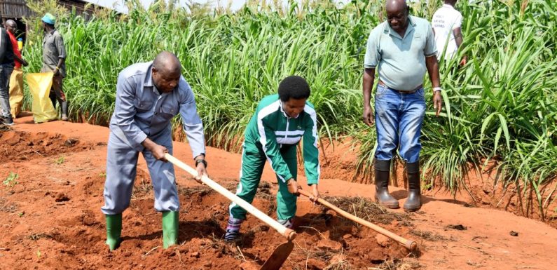 BURUNDI : Travail de champ pour la famille Présidentielle à BUGENDANA / GITEGA