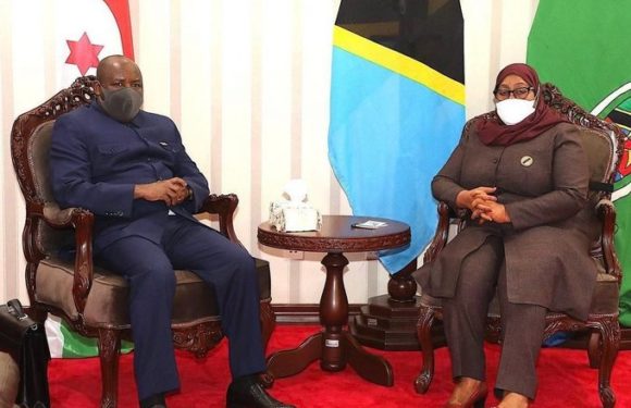 BURUNDI / TANZANIE : S.E. NDAYISHIMIYE rencontre S.E. SULUHU