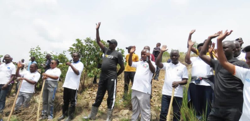 BURUNDI : TDC – Evider des creux pour planter des arbres à KIBANDE / CANKUZO