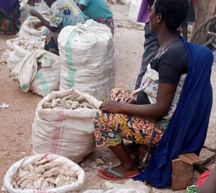 BURUNDI : Une agricultrice – vendeuse vend du manioc sec à 750 BIF par kg / RUYIGI