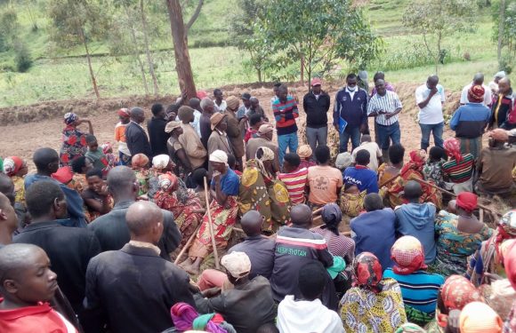 BURUNDI : Les cultures maraîchères à GASHANGA, BISORO / MWARO