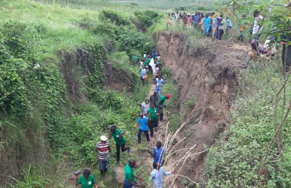 BuRuNDi : TDC – L’ONPR plante du bambous pour stabiliser un ravin à BuGaNDa, Cibitoke