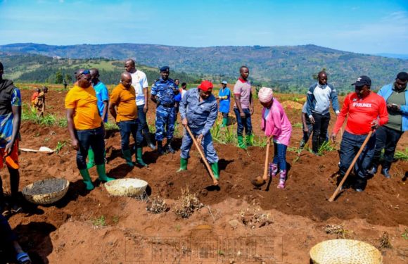 BuRuNDi : Le couple présidentiel récolte leurs pommes de terre à MWaRo