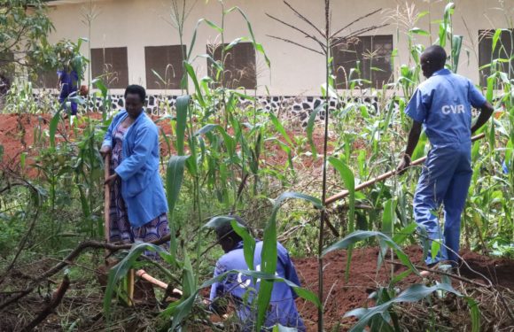 Génocide contre les BaHuTu en 1972 au BuRuNDi : 27 fosses communes trouvées à NGoZi