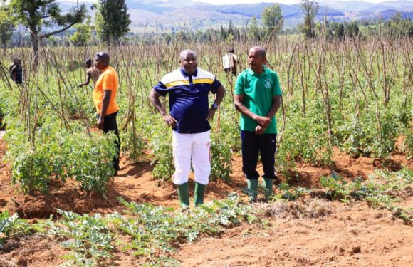 BuRuNDi : Visite d’un centre semencier à RuYiGi