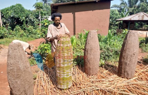 BuRuNDi : Un tisseur de ruches de BuBaNZa