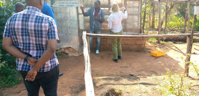 Burundi : La FAO visite la Maison du Fermier à Giheta / Gitega