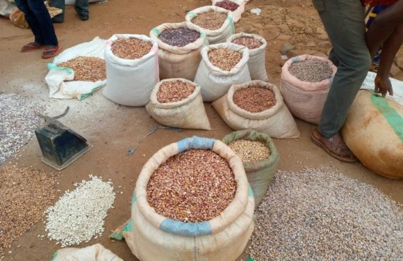 Burundi : Bukirasazi interdit hors commune la vente de haricot, de riz et de maïs/ Gitega
