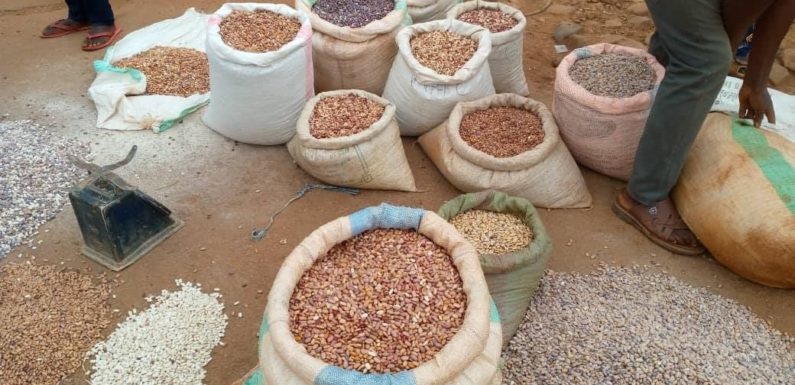 Burundi : Bukirasazi interdit hors commune la vente de haricot, de riz et de maïs/ Gitega