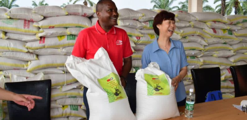 Burundi / Chine : Distribution d’une nouvelle variété de semences de riz à Gihanga, Bubanza