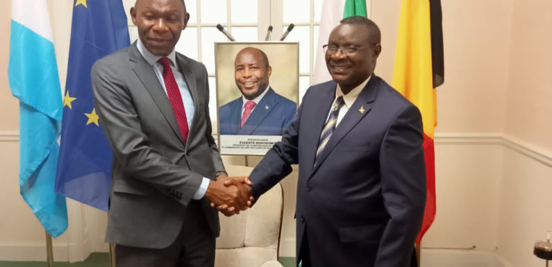 Burundi : Amb. Ntahiraja Thérence rencontre la diplomatie du Sud-Sudan et du Kenya à Bruxelles