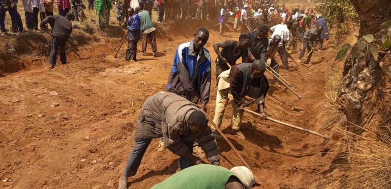 Burundi : TDC – Le CNDD-FDD Bururi construit une route en colline Tara à Songa