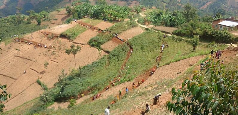 Burundi : TDC – Tracer des courbes de niveau à Rusekabuye en commune Musigati / Bubanza
