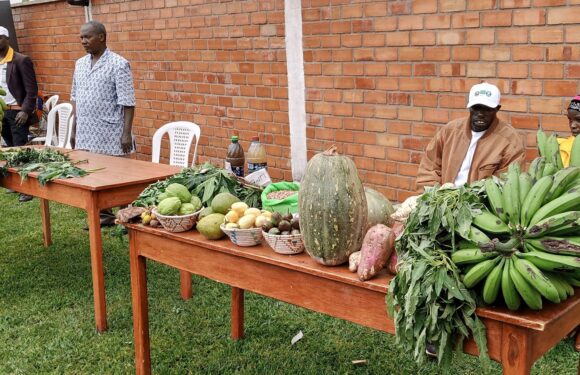 Burundi : ADISCO présente ses pratiques agroécologiques à Ngozi