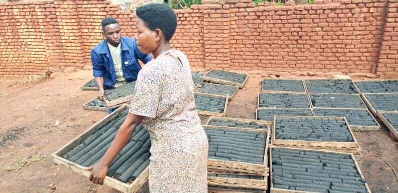 Burundi : Une coopérative produit du charbon écologique à Rugombo / Cibitoke