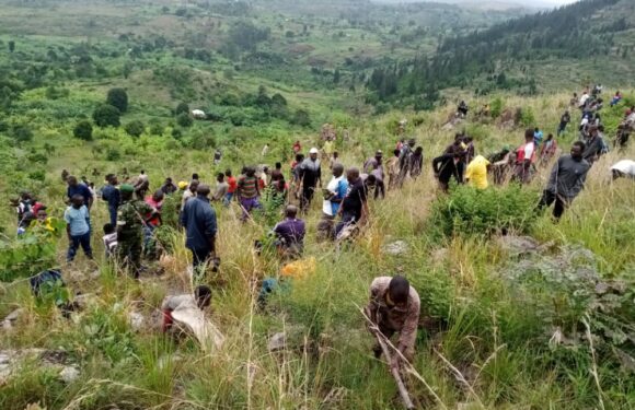 Burundi : TDC – Planter des arbres sur la colline Nganji partiellement dégarni / Ruyigi