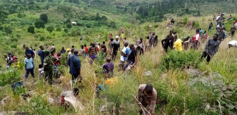 Burundi : TDC – Planter des arbres sur la colline Nganji partiellement dégarni / Ruyigi
