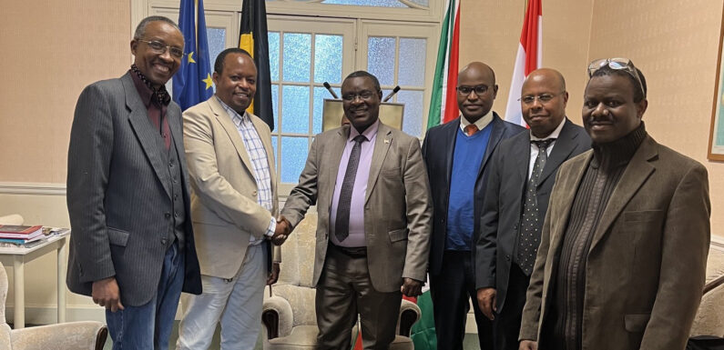 Burundi : Ambassadeur Ntahiraja reçoit l’asbl – Diaspora burundaise de Belgique –