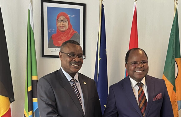 Burundi / Tanzanie : Une rencontre de travail diplomatique à Bruxelles
