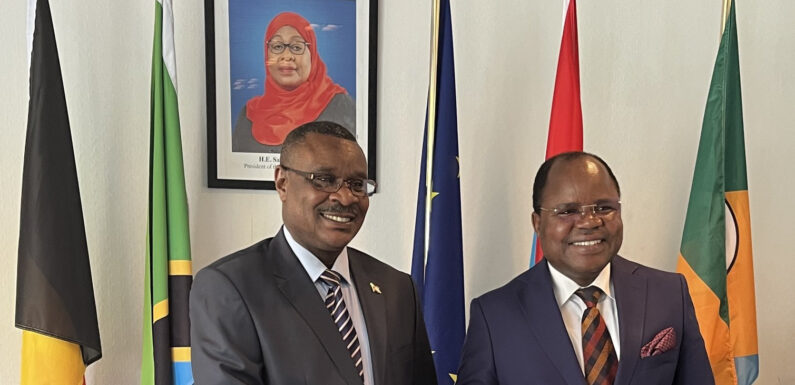 Burundi / Tanzanie : Une rencontre de travail diplomatique à Bruxelles
