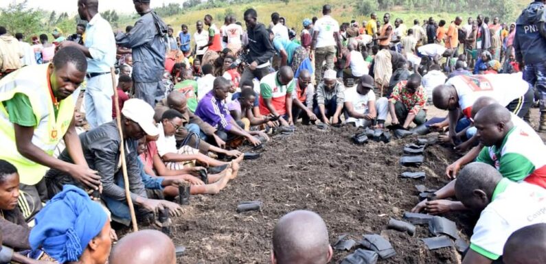Burundi : Cankuzo en action pour la reforestation avec le CNDD-FDD