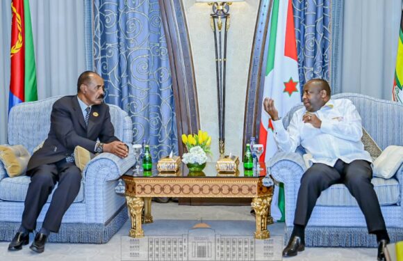 Burundi / Erythrée : Relance de l’African Standby Force, un impératif
