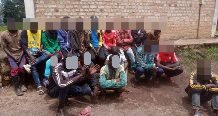 Burundi : Arrestation de 20 commissionnaires au marché de bétails à Kayanza