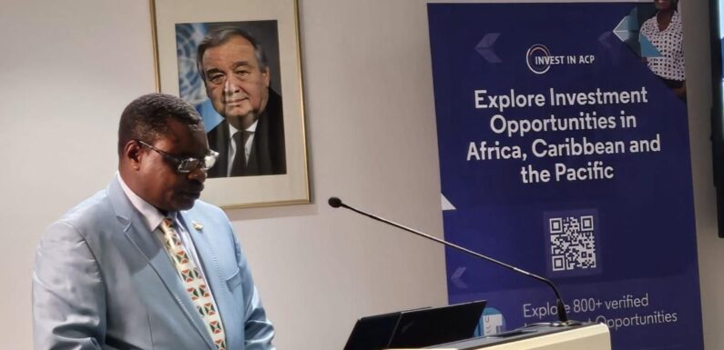 Burundi : Amb. Ntahiraja ouvre une formation diplomatique OEACP-ONUDI à Bruxelles.