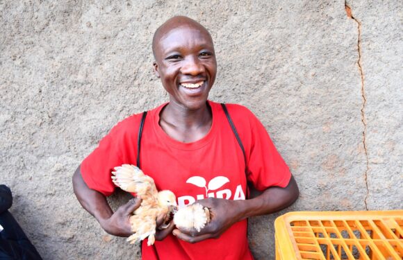 Burundi : One Acre Fund Tubura booste l’élevage de poussins à Gitega.