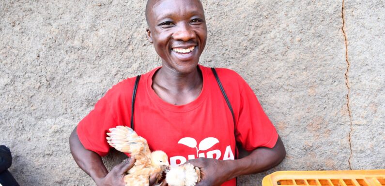 Burundi : One Acre Fund Tubura booste l’élevage de poussins à Gitega.