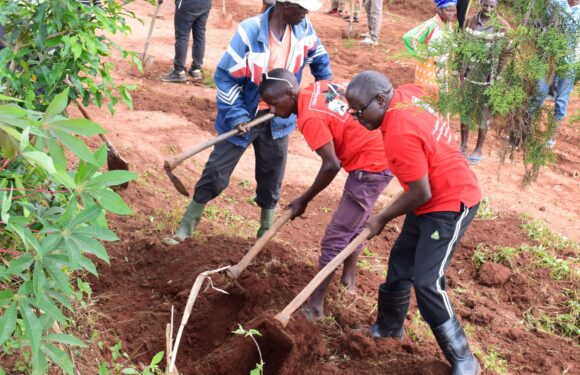 Burundi : TDC – Entretien de la Route Cankuzo-Mishiha.