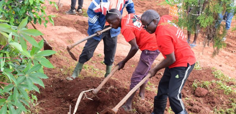 Burundi : TDC – Entretien de la Route Cankuzo-Mishiha.