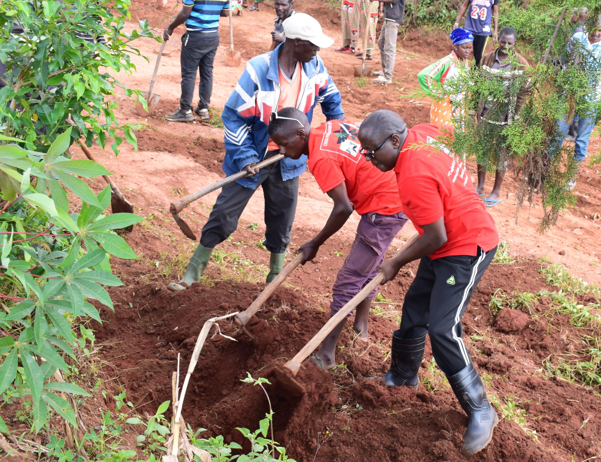 bdi burundi cankuzo 01 04052024 provincecankuzo