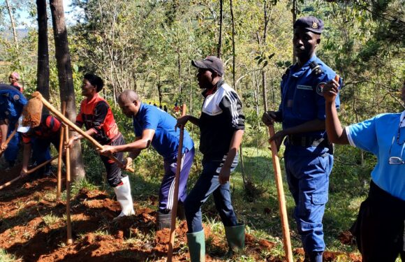 Burundi : TDC – Gouverneur et citoyens de Kiganda creusent des courbes de niveau.