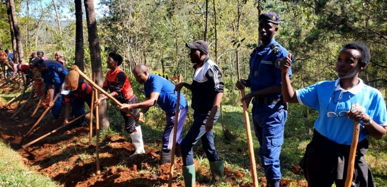 Burundi : TDC – Gouverneur et citoyens de Kiganda creusent des courbes de niveau.