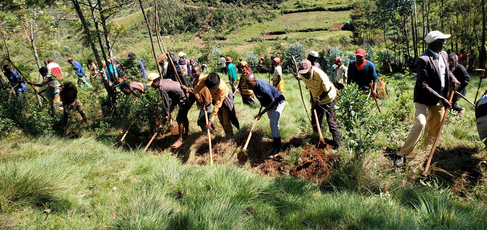 bdi burundi muramvya 02 25052024 provincekiganda