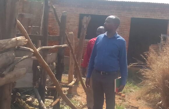 Burundi : Visite de Ntahimpera, administrateur de la commune Rutana, chez un éleveur.