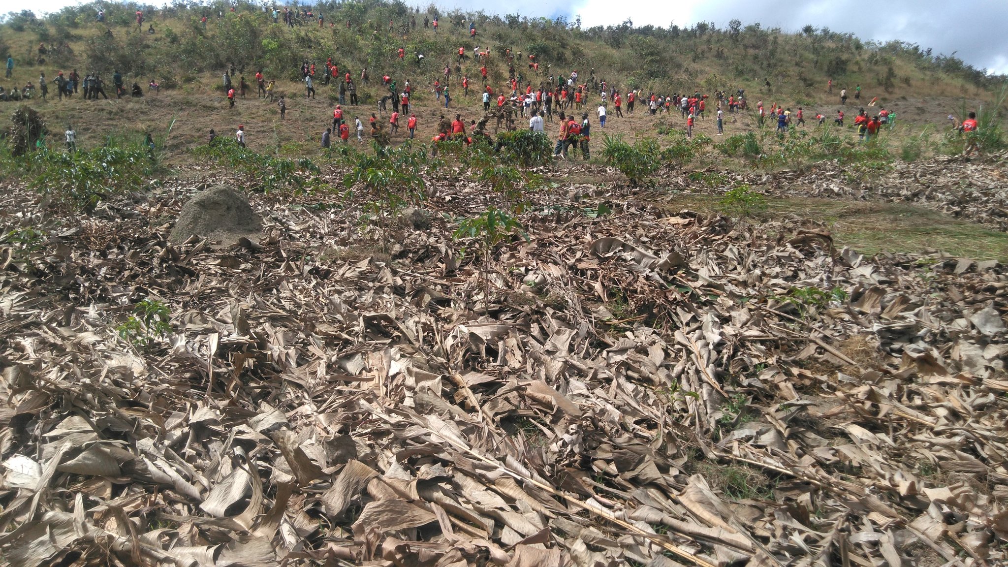 bdi burundi ruyigi 05 11052024 cnddfddcommuneruyigi