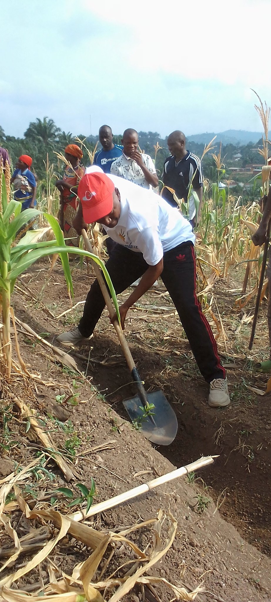 bdi burundi bubanzatdc 01 01062024 provincebubanza