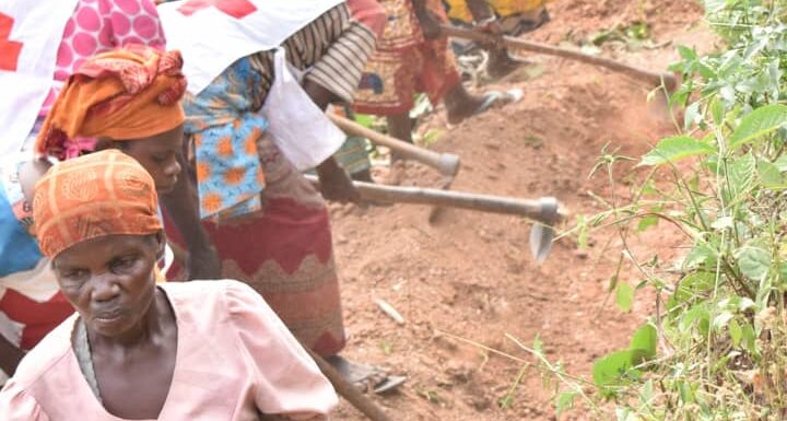 Burundi : TDC – Campagne pour éliminer les ravines à Bubanza.