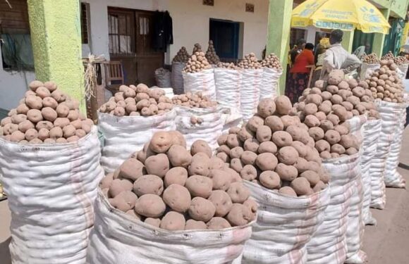 Burundi : Produits agricoles en hausse au marché de Kayanza.